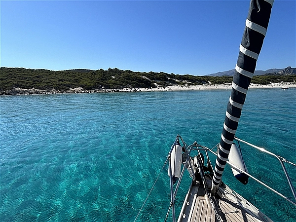 Toscana e Corsica - Giugno